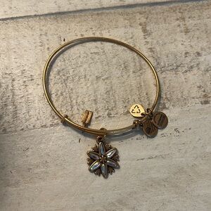 Alex and Ani Bracelet